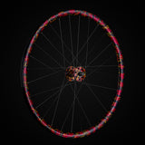 50th Anniversary Track Hub Wheel Set (RGB)